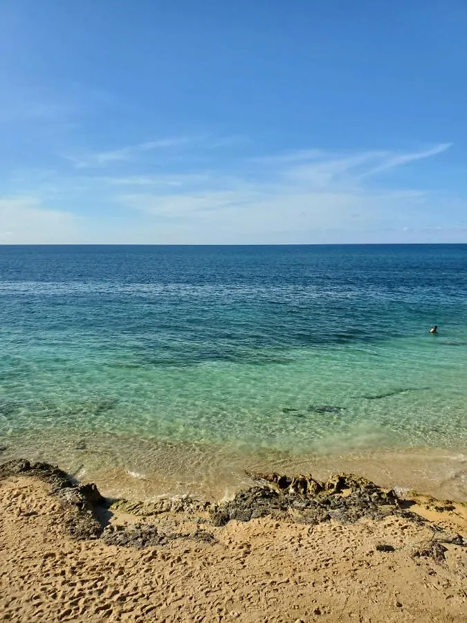 蒙特哥贝 Evelin'S On The Beach酒店